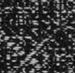 Novus 195 Swatch image for Novus 195